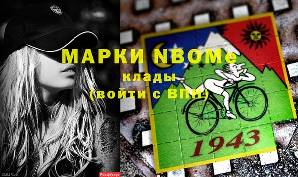 хмурый Анива