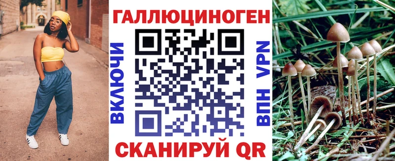 Псилоцибиновые грибы GOLDEN TEACHER  omg как войти  Владимир 
