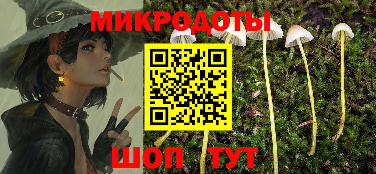 Галлюциногенные грибы Psilocybe Владимир