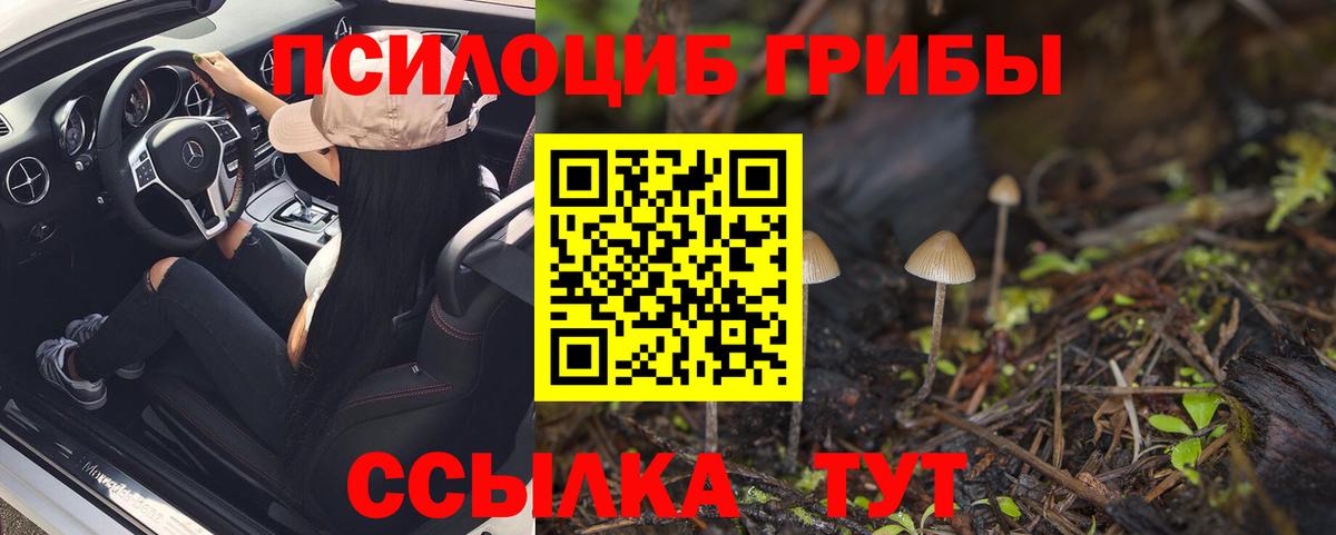 Псилоцибиновые грибы Psilocybe  Вход с VPN  Галлюциногенные грибы прущие грибы  Владимир 