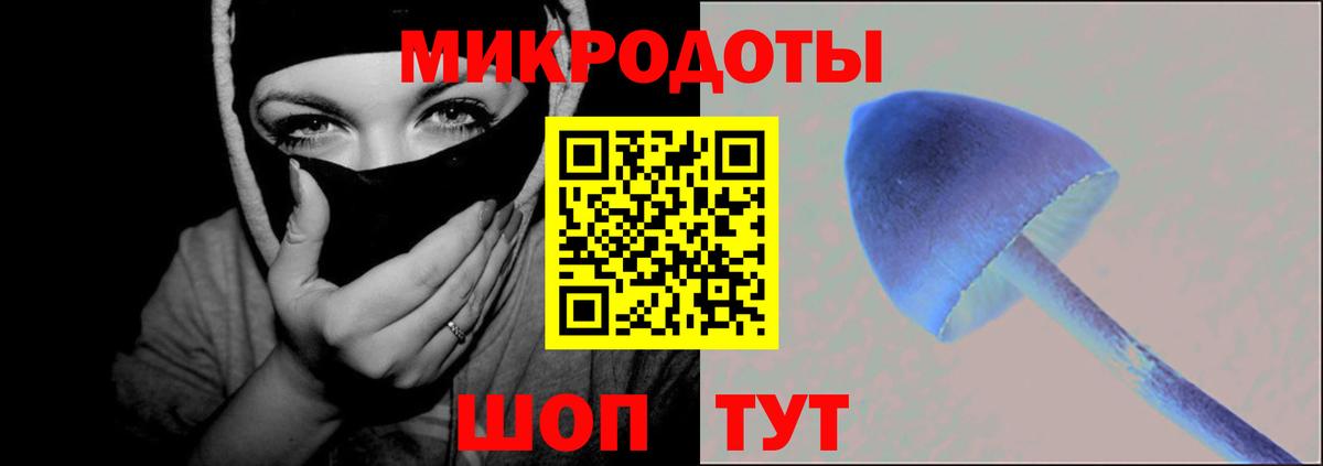 даркнет сайт  Владимир  Псилоцибиновые грибы мухоморы  Галлюциногенные грибы GOLDEN TEACHER 