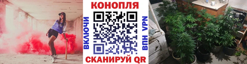 МАРИХУАНА марихуана Владимир